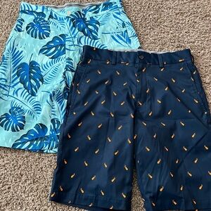 Tropical Leaf and Pineapple Print Shorts Set